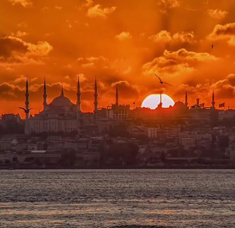 10388578_10152429845510785_3706264374969293392_n