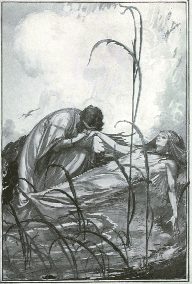 12144733_957394214330730_2994350821077182540_n