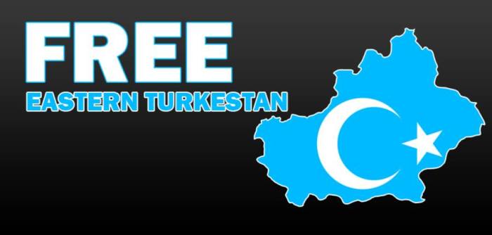 37407528_1797656943603725_2953914919474429952_n