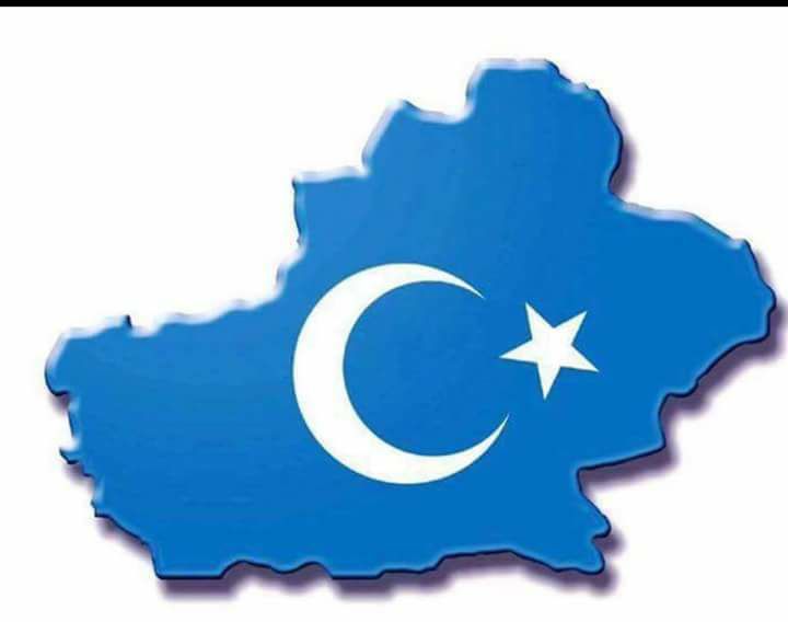 29594865_212043132882877_6944218294050880738_n